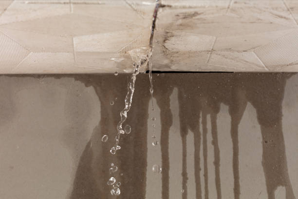 Professional Sewage Cleanup technician working in Campobello, SC